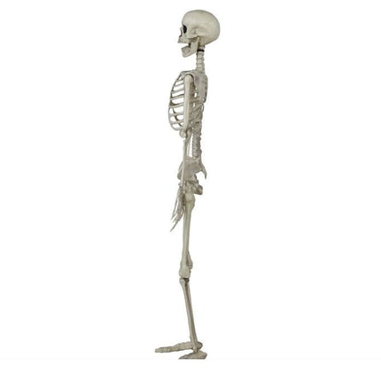 Halloween Skelet 90cm van Fiestas Guirca koop je bij Partywinkel