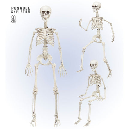 Halloween Skelet Beweegbaar 90cm van Widmann koop je bij Partywinkel