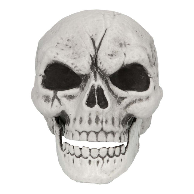 Halloween Skelet Schedel En Armen van Boland koop je bij Partywinkel