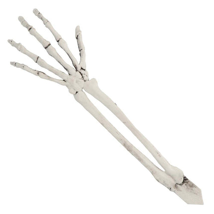 Halloween Skelet Schedel En Armen van Boland koop je bij Partywinkel