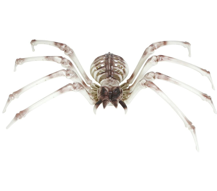 Halloween Skelet Spider 85cm van Fiestas Guirca koop je bij Partywinkel