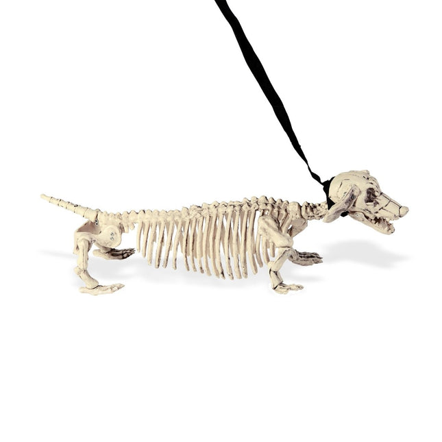 Halloween Skelet Tekkel Met Riem van Widmann koop je bij Partywinkel