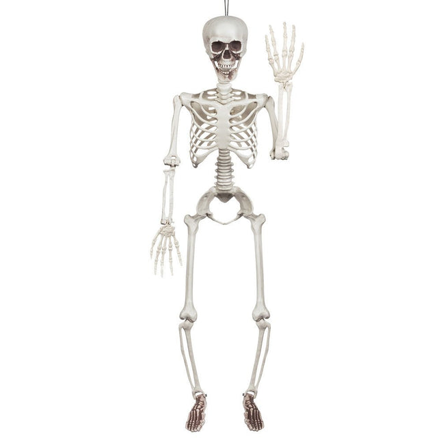 Halloween Skelet Wit 90cm van Boland koop je bij Partywinkel