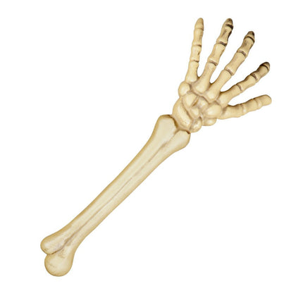 Halloween Skeletarm 46cm van Boland koop je bij Partywinkel