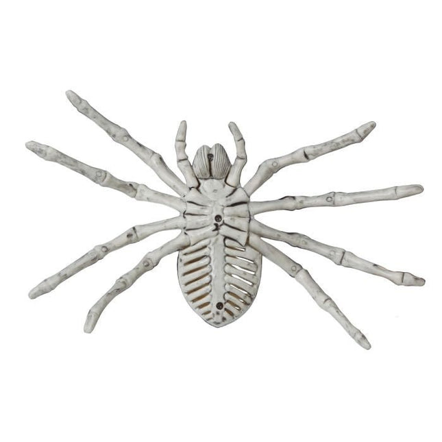 Halloween Spinnen Skelet 24cm van Fiestas Guirca koop je bij Partywinkel
