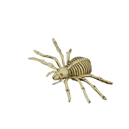 Halloween Spinnen Skelet 24cm van Fiestas Guirca koop je bij Partywinkel