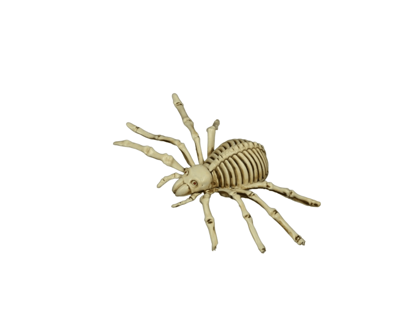 Halloween Spinnen Skelet 24cm van Fiestas Guirca koop je bij Partywinkel
