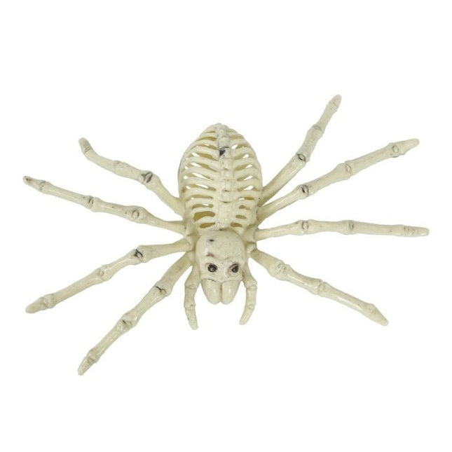 Halloween Spinnen Skelet 24cm van Fiestas Guirca koop je bij Partywinkel