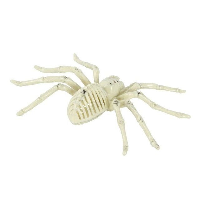 Halloween Spinnen Skelet 24cm van Fiestas Guirca koop je bij Partywinkel