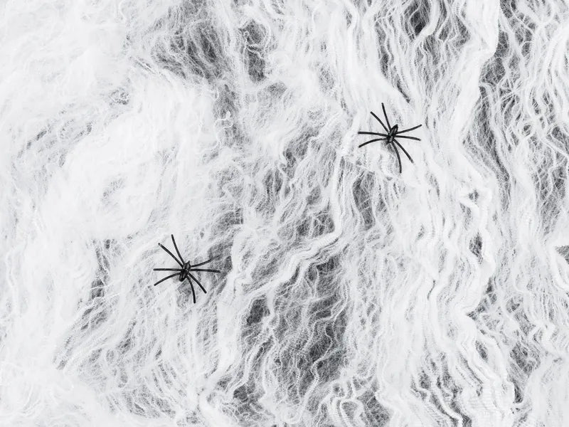 Halloween Spinnenweb Wit Met 2 Zwarte Spinnen 200gr van Partydeco koop je bij Partywinkel