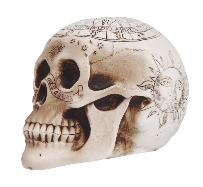 Halloween Tafeldecoratie Schedel 20cm van Fiestas Guirca koop je bij Partywinkel