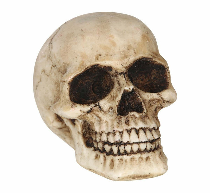 Halloween Tafeldecoratie Schedel 8cm van Fiestas Guirca koop je bij Partywinkel