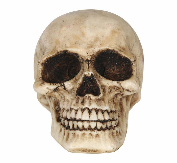 Halloween Tafeldecoratie Schedel 8cm van Fiestas Guirca koop je bij Partywinkel
