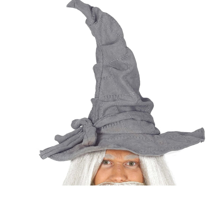 Halloween Tovenaarshoed Grijs van Fiestas Guirca koop je bij Partywinkel