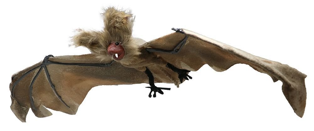 Halloween Vleermuis 60cm van Fiestas Guirca koop je bij Partywinkel