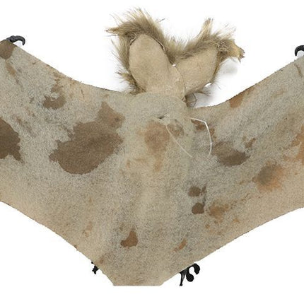 Halloween Vleermuis 60cm van Fiestas Guirca koop je bij Partywinkel