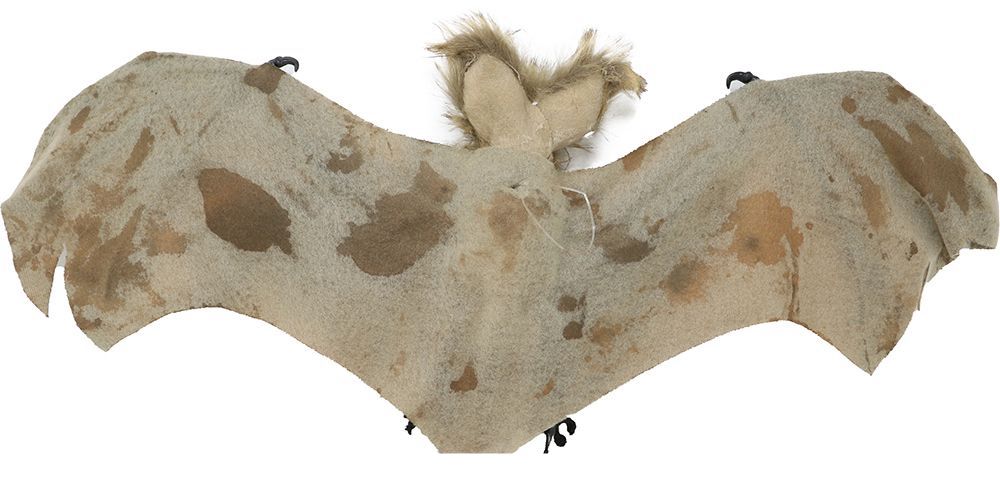 Halloween Vleermuis 60cm van Fiestas Guirca koop je bij Partywinkel