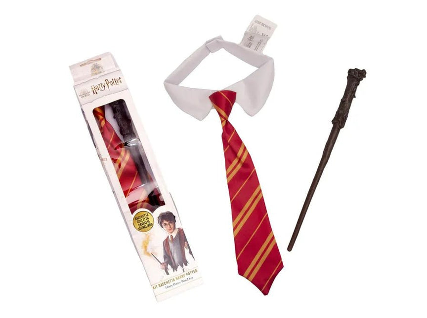 Harry Potter Accessoireset 2 delig van Ciao International koop je bij Partywinkel