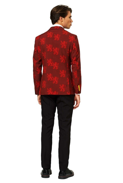 Harry Potter Pak Heren van OppoSuits koop je bij Partywinkel