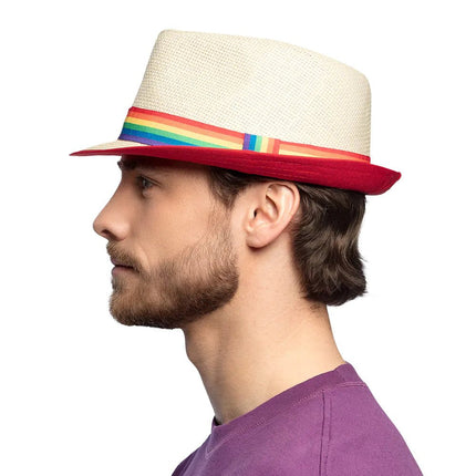 Hoed Regenboog Pride van Boland koop je bij Partywinkel