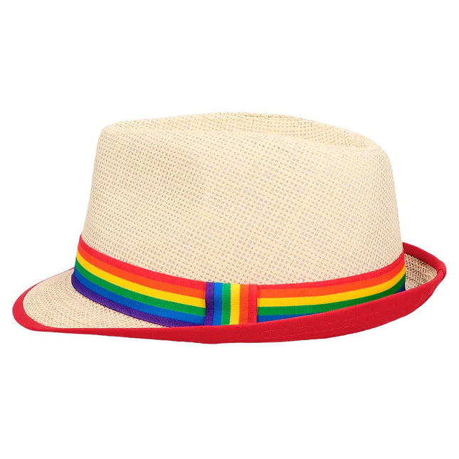 Hoed Regenboog Pride van Boland koop je bij Partywinkel