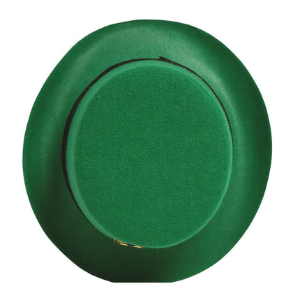Hoed St Patrick's Day van Fiestas Guirca koop je bij Partywinkel