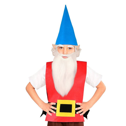 Kabouter Kostuum Meisje van Widmann koop je bij Partywinkel