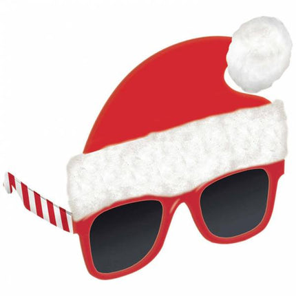 Kerstbril Kerstmuts Rood van Riethmueller koop je bij Partywinkel