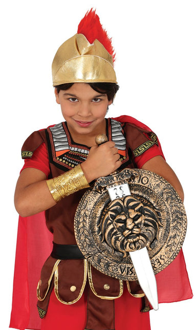 Kind Schild 29Cm En Zwaard 48cm van Fiestas Guirca koop je bij Partywinkel