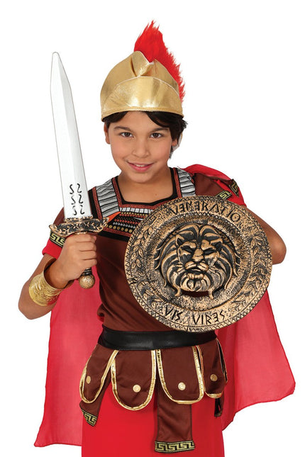 Kind Schild 29Cm En Zwaard 48cm van Fiestas Guirca koop je bij Partywinkel
