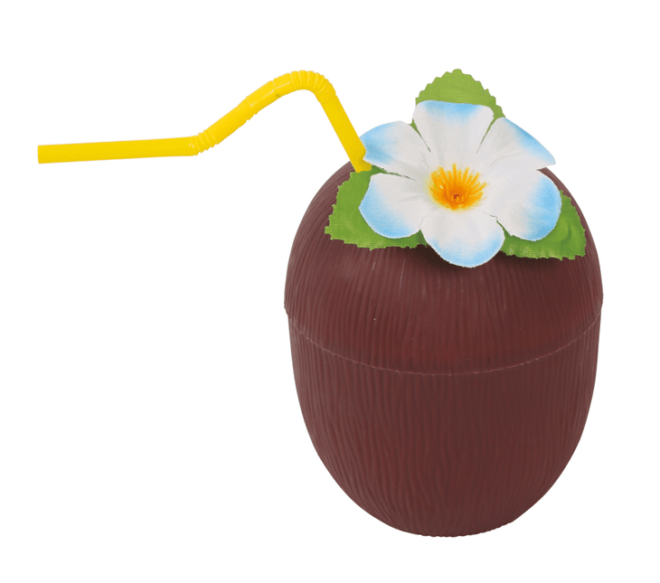Kokosnootglas Rietje En Bloem van Fiestas Guirca koop je bij Partywinkel