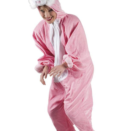 Konijnenpak van Boland koop je bij Partywinkel