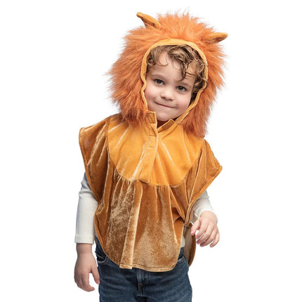 Leeuw Poncho Kind van Boland koop je bij Partywinkel