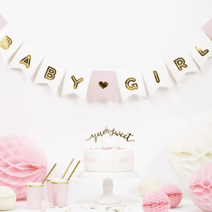 Letterslinger Geboorte Meisje Baby Girl 1,75m van Partydeco koop je bij Partywinkel
