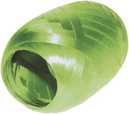 Lichtgroene Lint 5Mm 20m van Haza Witbaard koop je bij Partywinkel