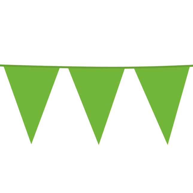 Lichtgroene XL Slingers 10m van WeFiesta koop je bij Partywinkel