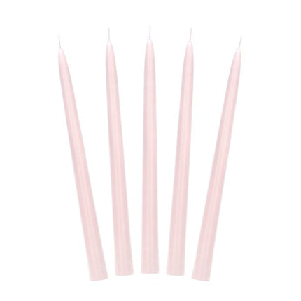 Lichtroze Kaarsen 24cm 10st van Partydeco koop je bij Partywinkel