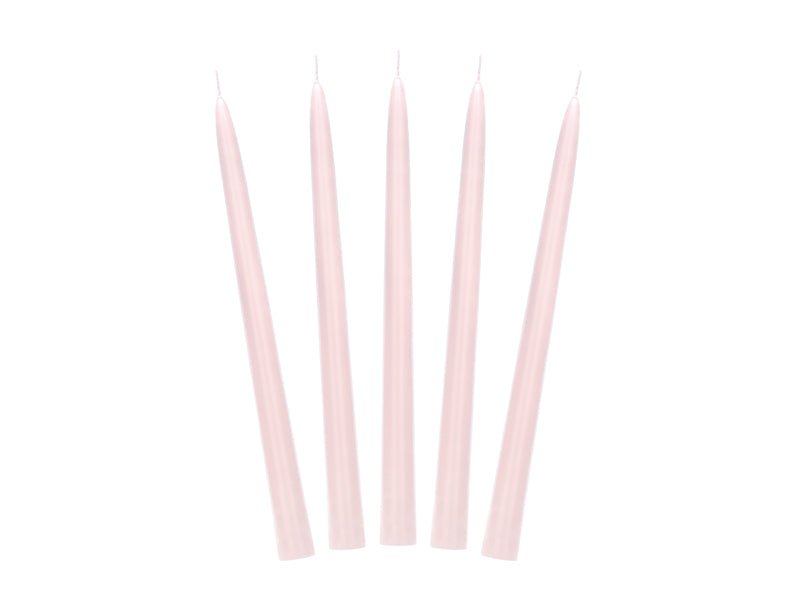 Lichtroze Kaarsen 24cm 10st van Partydeco koop je bij Partywinkel