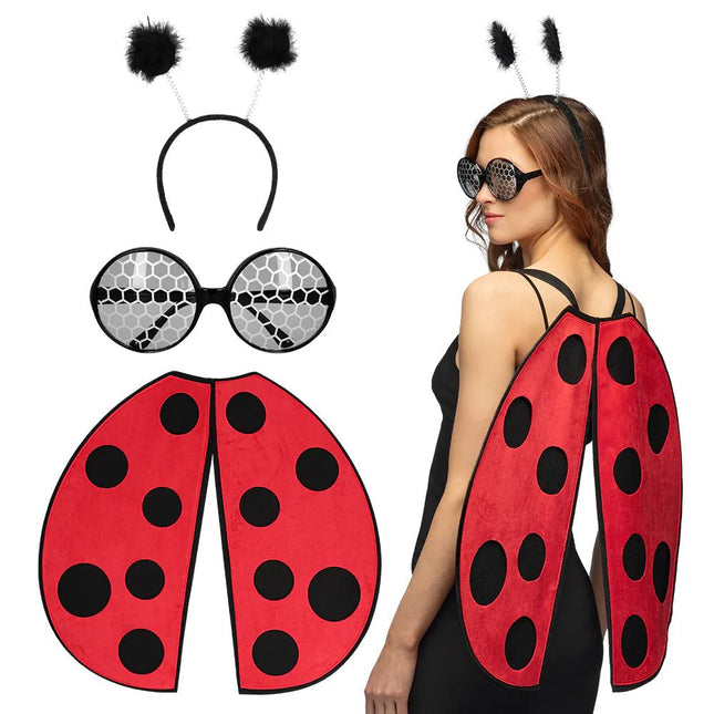 Lieveheersbeestje Accessoireset 3 delig van Boland koop je bij Partywinkel