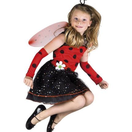 Lieveheersbeestje Kostuum Kind van Boland koop je bij Partywinkel