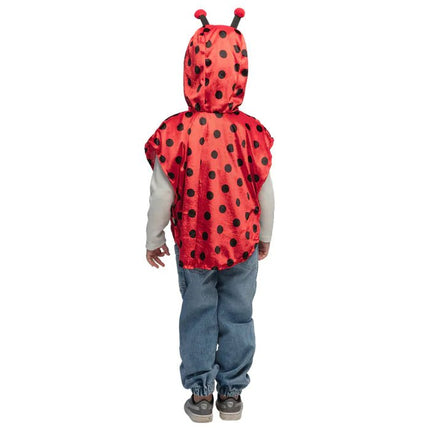 Lieveheersbeestje Poncho Kind van Boland koop je bij Partywinkel