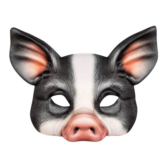 Masker Wild Zwijn van Boland koop je bij Partywinkel