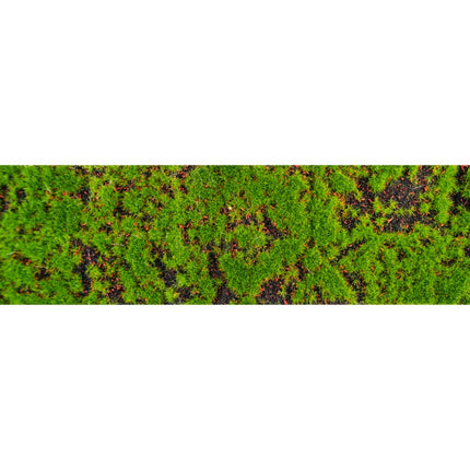 Green Ribbon Moss 10Cm 1m