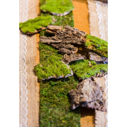 Green Ribbon Moss 10Cm 1m