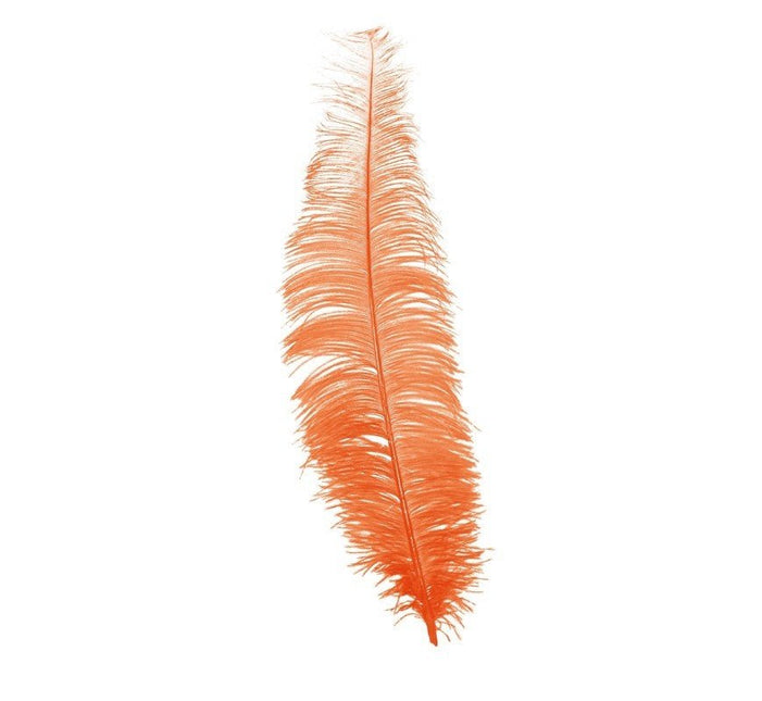Oranje Struisvogelveren 40cm 12st van Fiestas Guirca koop je bij Partywinkel