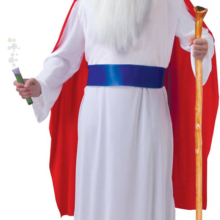 Panoramix Kostuum Asterix en Obelix van Fiestas Guirca koop je bij Partywinkel