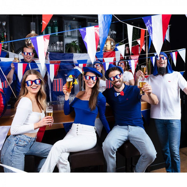 Partybril Frankrijk van Boland koop je bij Partywinkel
