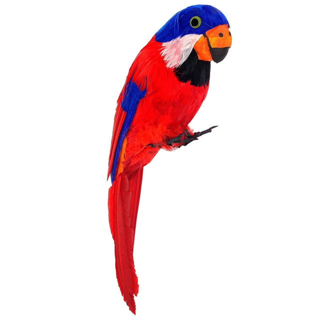 Piraat Nep Papagaai Rood van Widmann koop je bij Partywinkel