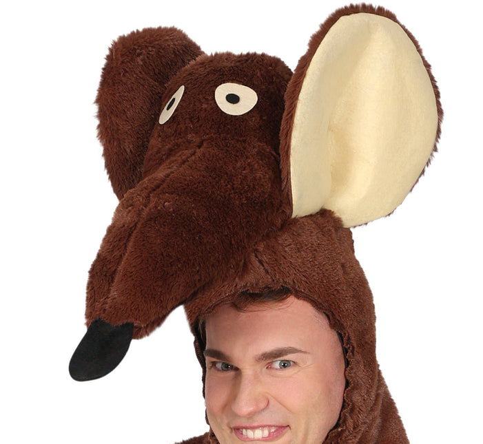 Rat Kostuum van Fiestas Guirca koop je bij Partywinkel