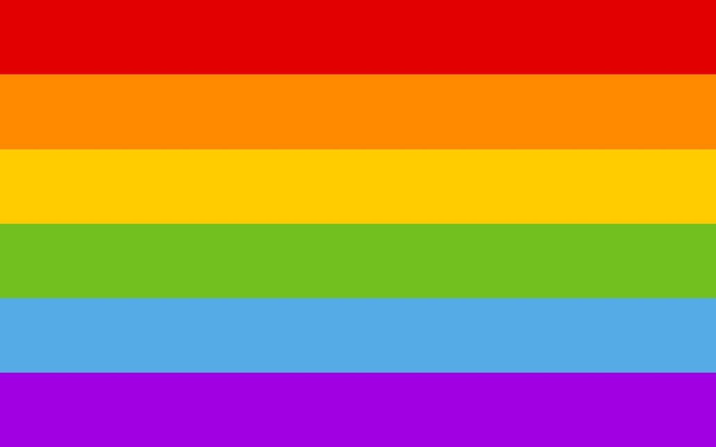 Regenboogvlag 150cm van Partychimp koop je bij Partywinkel
